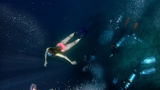 Fearless German Freedivers Surprised Divers in Moalboal, Philippines