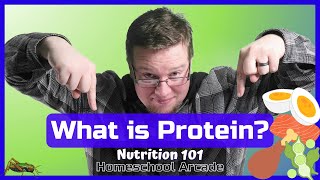 What is Protein?