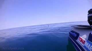 Slow jig with sabiki rig in Black sea