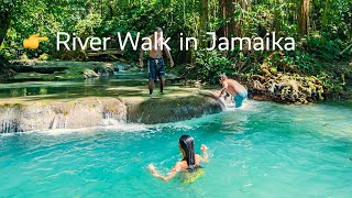 Ein River Walk im Jamaika Urlaub: Warum nicht?