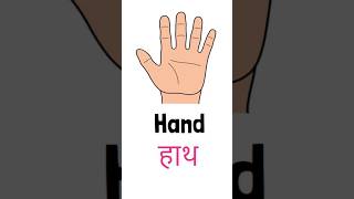 External Organs Of Human Body Parts Name In Hindi And English | Parts Of Our Body #bodyparts #shorts