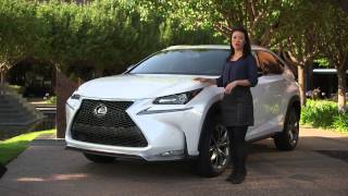 All-New 2015 Lexus NX Exterior Features Walkaround