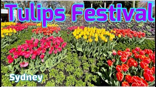 TULIP FESTIVAL 2023 IN BOWRAL NEW SOUTH WALES