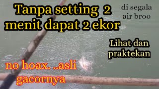 Part 2..edaan Banget gacoor nya broo..!!nggak pengen coba gitu??umpan bawal paling jitu