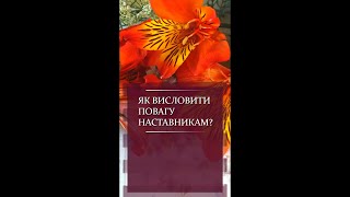 Як висловити повагу наставникам? (Питання дня) #Shorts