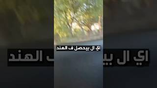 المرأة ال خانت جوزها ف الهند