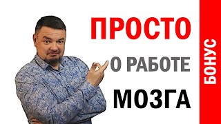 Просто о работе мозга