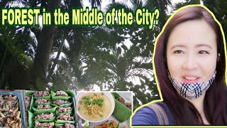 Maliit na KAGUBATAN sa GITNA NG LUNGSOD//URBAN FOOD FOREST /Travel Vlog/GenSan City/Frances Joy