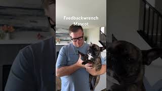 The Feedbackwrench Mascot