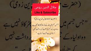 مولانا جلال الدین رومی رحمۃ اللہ#shortsviral #youtube #islamicshort #10mviews