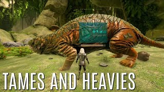 GOT AN ANGLER and Heavies! - Solo Mts PVP (E6) - ARK Survival