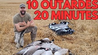 Chasse de fou à l'outarde! Limite en 20 minutes! Chasse, cuisine, manger