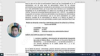 MODELO DE DEMANDA DE NULIDAD DE UN INFORME TÉCNICO DEL SERVIR