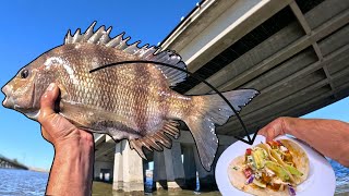 Do SHEEPSHEAD make good tacos? (Catch Clean Cook) | Grand Isle