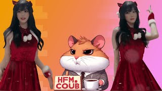 HFM COUB BEST CUBE Coub Приколы 2024 entertainment show, video collection from all over the world