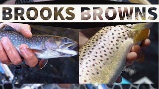 Brooks & Browns (fly & gear) // UP Mich Trout from a driftboat