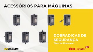 Dobradiças de Segurança CFSW Elesa+Ganter | Tipos de Montagem | REIMAN