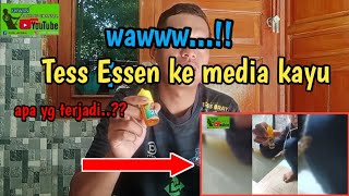 tes Essen ke media kayu || gimana reaksi ikan nya..😱