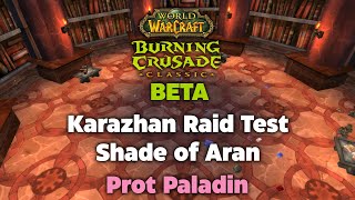 TBC Beta Karazhan Raid Testing - Shade of Aran - Prot Paladin w/ @Scottejaye!