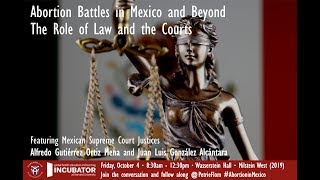 Abortion Battles in Mexico and Beyond: Sexual & Reproductive Health & Rights in Challenging Contexts