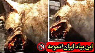 ویدیو وحشتناک خفت گیری پلیس توسط اجنه کوتوله❌️😨 اگه این بی شرف پاش برسه ایران کار هممون تمومه