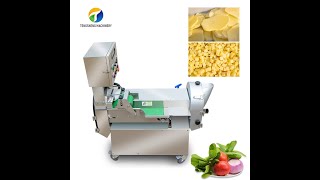 Double head vegetable cutter