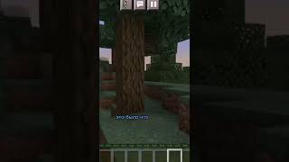 МАЙНКРАФТ АНАРХИЯ ЗА 40 СЕКУНД #shorts #minecraft