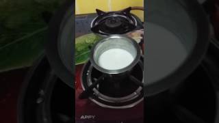 How to make curd without curd or starter