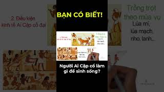 #shorts Bí ẩn người Ai Cập cổ làm gì để sống?