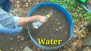 How To Grow Coriander (Dhaniya) plant | 100% pure Organic | fastest growing methods | iihr seeds