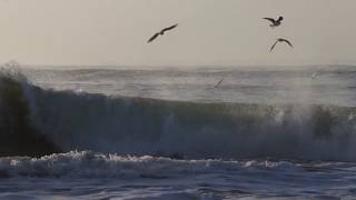 Ocean ! Nature ! Sea ! seaside ! Beach! Relaxation! Waves ! Meditation Video !