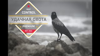 Охота На Ворон - Удачная Охота. Pest Control - Successful Hunting