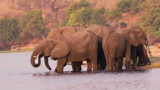 Chobe Chilwero Lodge - Botswana