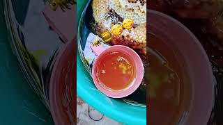 Honey Bee on the comb with live bees