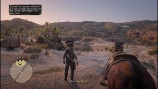 Red Dead Redemption 2 loadig screens