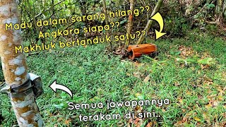 Madu dalam sarang hilang, angkara siapa??