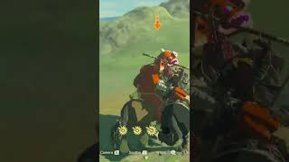 Spinning flamespear attack! #shorts #botw #nintendo #zelda #gaming #viral #botwshorts #ytshorts