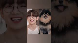 kim Taehyung vs yeontan ❤️#bts#animals#v#yeontan