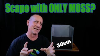 The MOSS ONLY Cube Aquarium | Ft. LANDEN 30C Low Iron