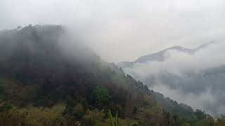 Heavy Rain in Himachal Pradesh