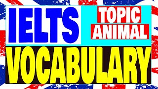 IELTS Vocabulary topic animals part 1 #12