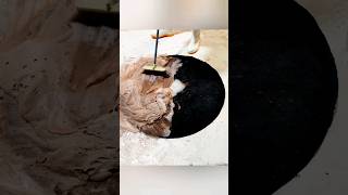 Mind-Blowing Carpet Cleaning Transformation! Watch Black and Brown Dirt VANISH | Satisfying ASMR