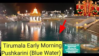 Tirumala Temple Live Video || Tirupati latest Updates today || Tirumala latest  Updates today || TTD