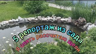 5 репортаж из сада моего дедушки