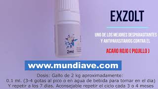 exzolt piojillo desparasitante acaro rojo #exzolt #piojillo #acarorojo