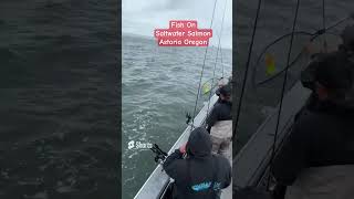 Live from Illwaco Astoria Ocean Salmon Fishing  #pnw #ocean #chinook #salmon #coho