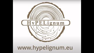 Hypelignum Description