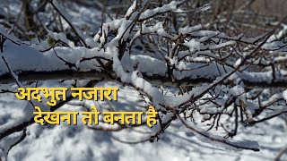 अदभुत नजारा देखते ही दिल खुश हो जाएगा तो आप भी कहोगे वा क्या बात है.#snow #kotkhai #shimla