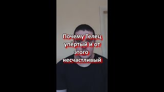 Почему Телец упёртый и от этого несчастливый