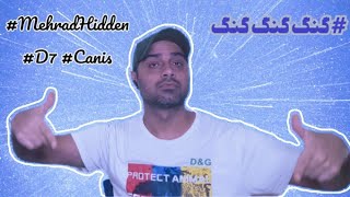 React To #gangganggang ری_اکشن به آهنگ #گنگ_گنگ_گنگ از #مهراد_هیدن